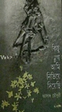 কিছু ফুল আমি নিভিয়ে দিয়েছি