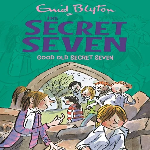 Good Old Secret Seven: 12 (The Secret Seven Series) Paperback