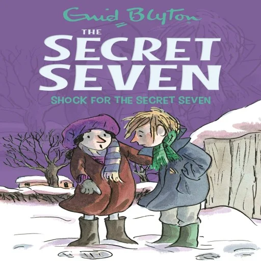 Shock for the Secret Seven: (The Secret Seven Series): 13 Paperback