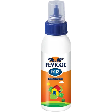 Fevicol MR হোয়াইট অ্যাডহেসিভ (স্কুইজি) - 20 গ্রাম