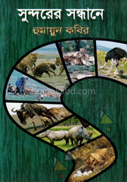 সুন্দরের সন্ধানে