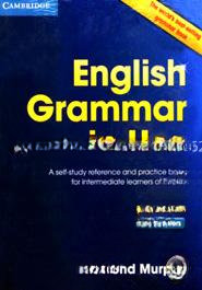 English Grammar in Use