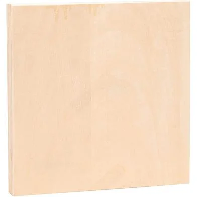 ক্যানভাস ফর পেইন্টিং 8/8