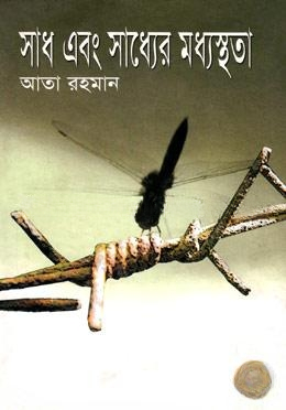 সাধ এবং সাধ্যের মধ্যস্থতা
