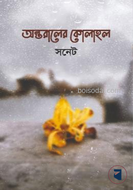 অন্তরালের কোলাহল