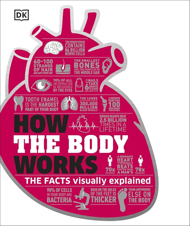 How the Body Works – The Facts Visually Explained