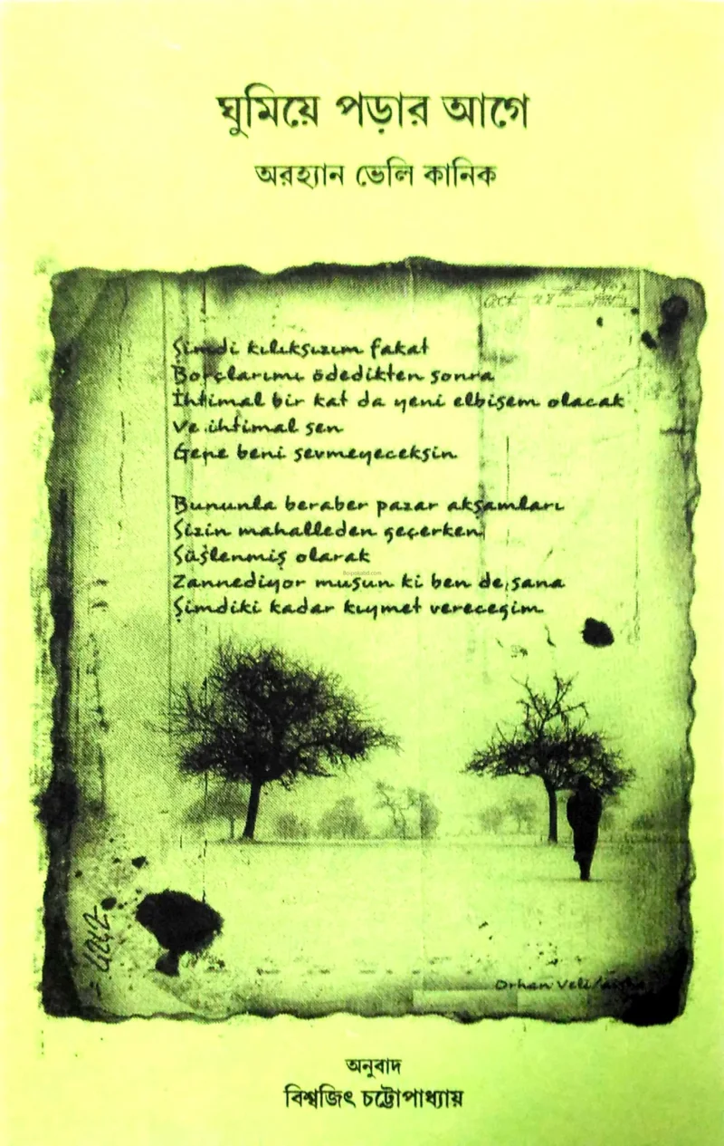 ঘুমিয়ে পড়ার আগে