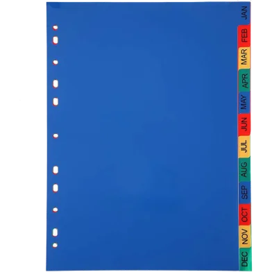 A4 ফাইল ডিভাইডার 10/12 পার্ট ইনডেক্স Jan-Dec (1 প্যাক)