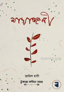 মায়াঞ্জনী