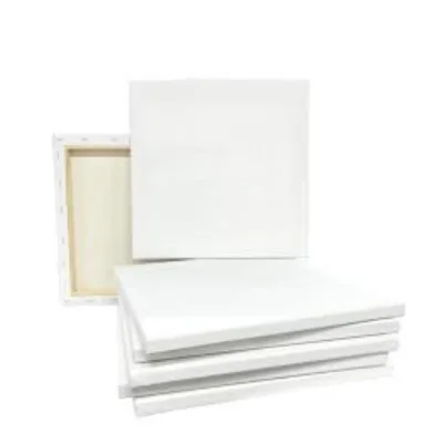 হোয়াইট ক্যানভাস 12x16 ইঞ্চি (2 পিস)