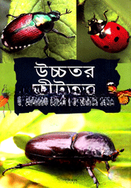 উচ্চতর কীটতত্ত্ব
