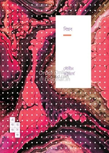 বিপ্লব - সৌরিন ভট্টাচার্য