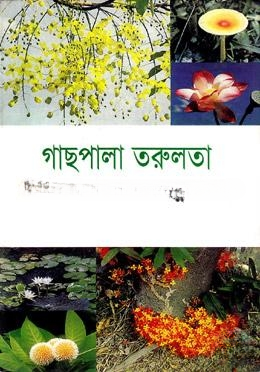 গাছপালা তরুলতা