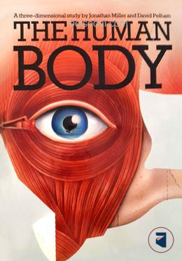 The Human Body