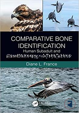 Comparative Bone Identification