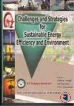 Challenges and Strategies for Sustainable Energy Deficiency and Environment
