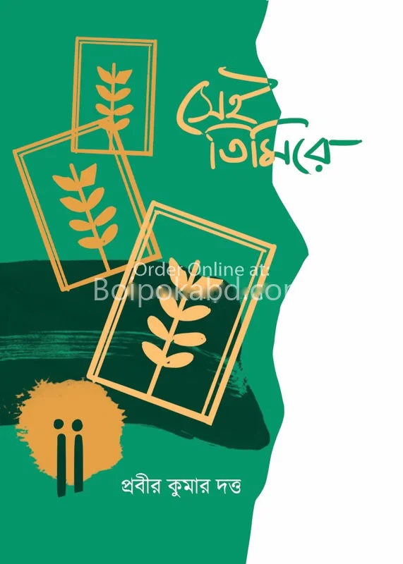 সেই তিমিরে