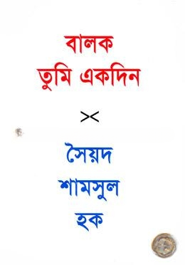 বালক তুমি একদিন