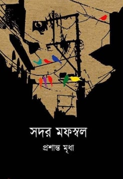 সদর মফস্বল