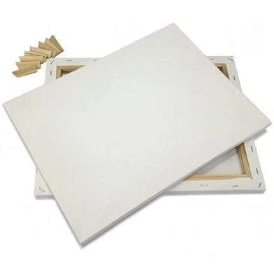 ড্রয়িং ক্যানভাস 20x30 ইঞ্চি