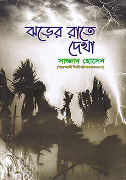 ঝড়ের রাতে দেখা