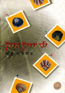 টুকরো টুকরো ছবি