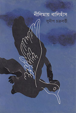 নীলিমায় বালিহাঁস