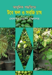 আধুনিক পদ্ধতিতে টবে ফল ও সবজি চাষ