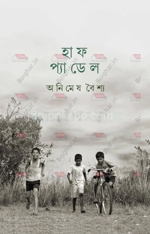 হাফ প্যাডেল - অনিমেষ বাইশ্যা