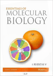 Essentials Of Molecular Biology (Paperback)