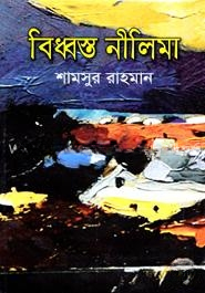বিধ্বস্ত নিলীমা
