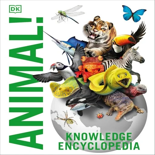 Knowledge Encyclopedia Animal! (Hardcover)