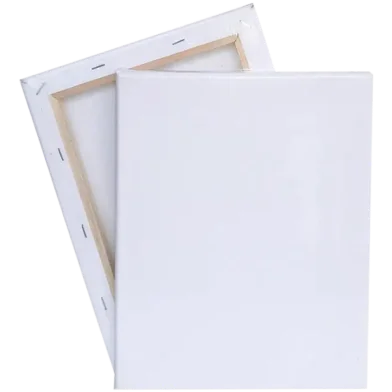 হোয়াইট ক্যানভাস (12x18 ইঞ্চি) - 1 পিস