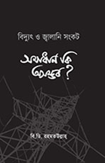 বিদ্যুৎ ও জ্বালানি সংকট সমাধান কি অসম্ভব