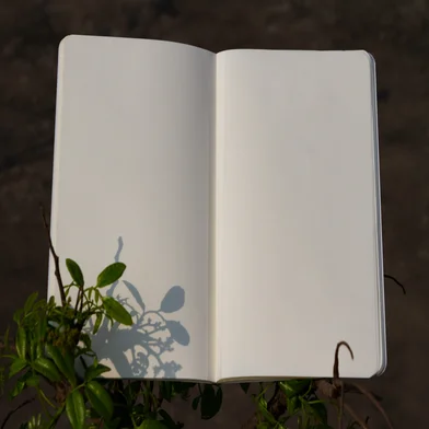 বাংলাদেশ ক্রিকেট নোটবুক - SN202310383 — ছবি 2