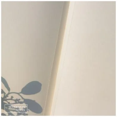 Sevendays Notes আইস ক্রিম নোটবুক (SN202405388) — ছবি 5