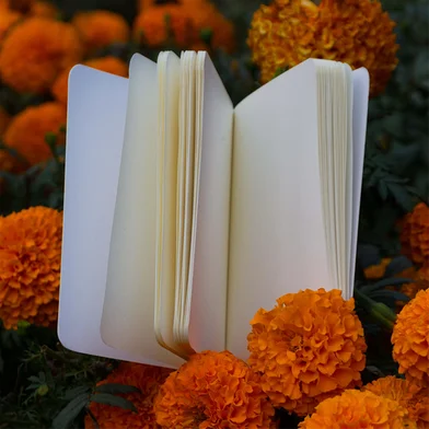 পকেট সিরিজ ব্ল্যাক ও ক্র্যাফট নোটবুক 2-পিস — ছবি 5