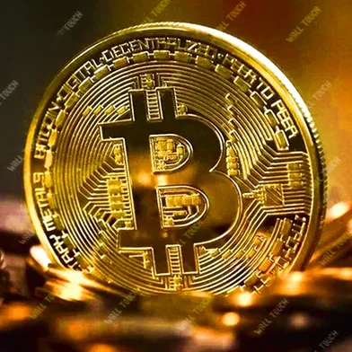 ফিজিক্যাল কালেক্টর গোল্ড প্লেটেড Btc কয়েন আর্ট কালেকশন গিফট কয়েন গোল্ডেন C 2X পিস — ছবি 5