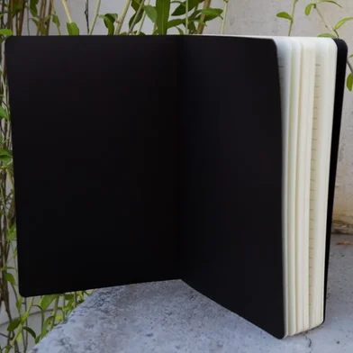 রাইটার্স এডিশন ব্ল্যাক লাইনড নোটবুক — ছবি 2