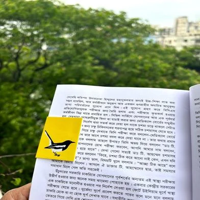 Markly সেট অফ 12 ম্যাগনেটিক বুকমার্ক — ছবি 3